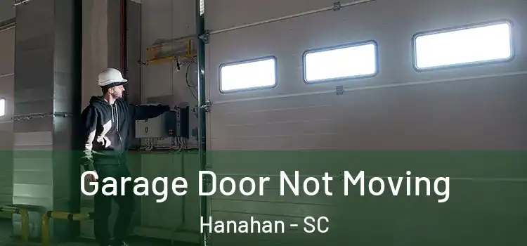  Garage Door Not Moving Hanahan - SC