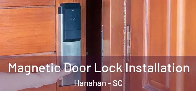  Magnetic Door Lock Installation Hanahan - SC